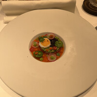 ジョンティ アッシュ -  ジョンティ アッシュ -