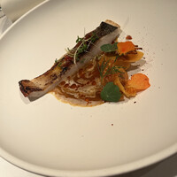 ジョンティ アッシュ -  ジョンティ アッシュ -