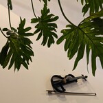 デュ・ヴァン・ハッシシ - デュ・ヴァン・ハッシシ