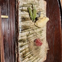 鈴田式 - 