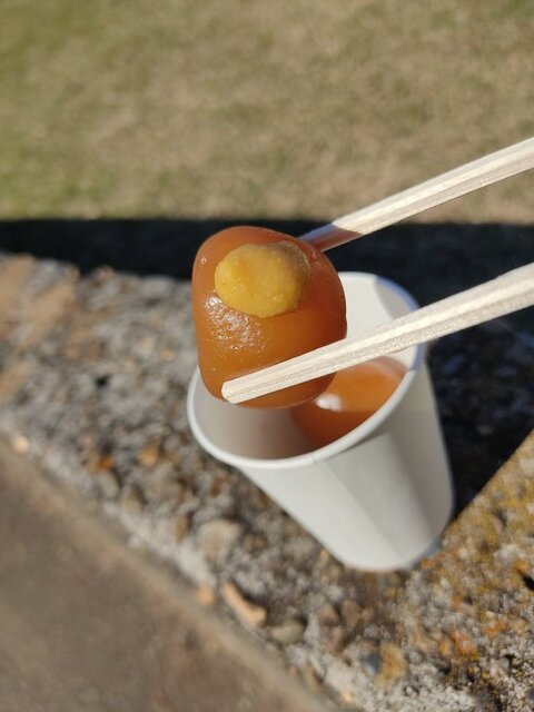 天童市観光物産協会 - 天童（スイーツ）の写真