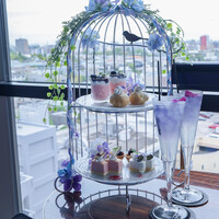 渋谷 Blue bird - 