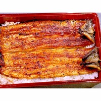 鰻 若松 - 共水うな重。 鰻 若松 - 共水うな重。