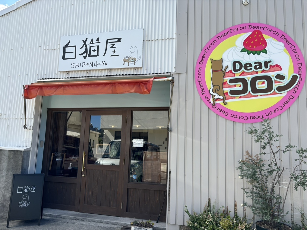写真 : 白猫屋 （【旧店名】パパンがパン屋さん） - 洲本市その他/パン