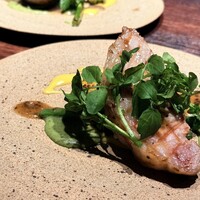 アクイロット - 