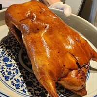 中国意境菜 白燕 - 