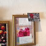 ジェラテリア アクオリーナ - 