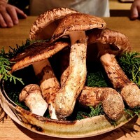 御成門はる - 