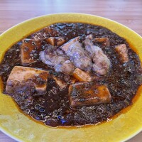STEAMAN - 