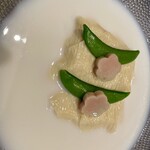 梅の花 - 