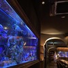 アクアリウムイタリアン心斎橋ライム