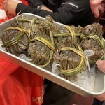 上海朱家角生煎包 - 