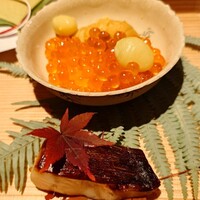 弧玖 - 