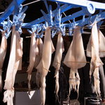 南ばら亭 - 隣のするめ干し