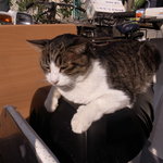 南ばら亭 - 目の前のお店