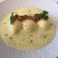 Loiseau de France - 