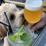 アジアンビストロDai - くるみちゃんと乾杯！