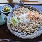 手打ちそば てらっぱだげ - おろしそば