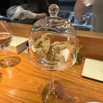 トムクリオーザ - 