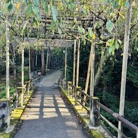 そば茶寮 澤正 - 