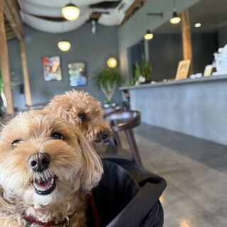 ワンちゃんと一緒に過ごせるレストラン‼