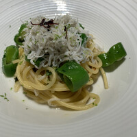 MOTORA  - 