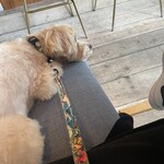 Phlox Local Market Bistro＆Marche - 