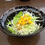 カレー屋　匠 - サラダ