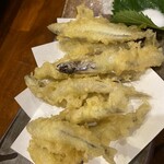 居酒屋 剛 - 