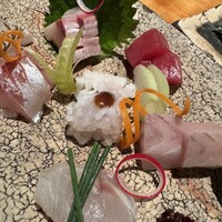 料理とワイン 音音 - 