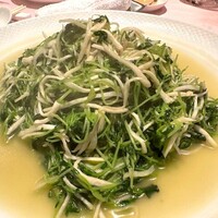 シェフス - 