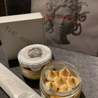 THE APOLLO - 