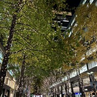 パリアッチョ 丸の内仲通り店 - 