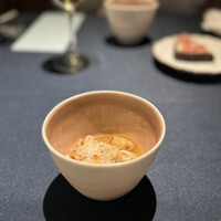 セルサルサーレ - 