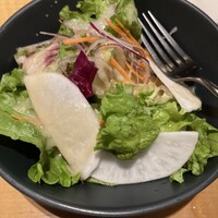 THE RIGOLETTO -  THE RIGOLETTO -