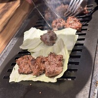 黒毛和牛ヘレ肉専門店 炭火焼肉 りきちゃん 北浜店 - 