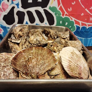 デカい焼鳥と旬のお魚を気軽に楽しめる大衆居酒屋