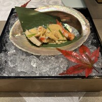 天空の庭　星のなる木 - 