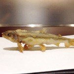 旬彩天 つちや - 