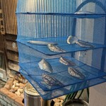 天史朗鮨 - 見せ前の干物カゴ