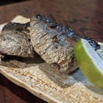 天史朗鮨 - ソウダカツオの干物