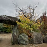 ピアット スズキ チンクエ - 