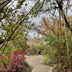 ピアット スズキ チンクエ - 