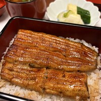 割烹 蒲焼 大沼 - 