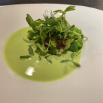 サンフォコン - 