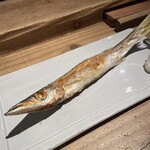 動悸 - 本カマス　1,320円