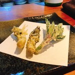 飛騨季節料理 肴 - 