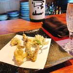 飛騨季節料理 肴 - 