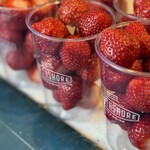 ノースショア - 