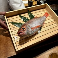 のどぐろ専門 銀座中俣 極 - 